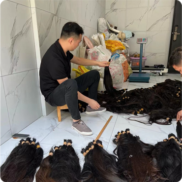 Factory expert meticulously hand inspecting and sorting bulk raw single donor ponytails for 100% virgin remy cuticle human hair extensions B2B wholesale.