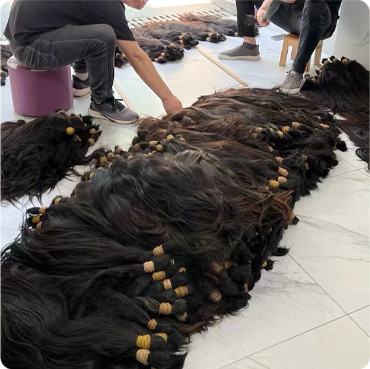 Factory workers hand-sorting a massive bulk inventory of raw single donor ponytails for 100% virgin remy cuticle human hair extensions B2B wholesale.