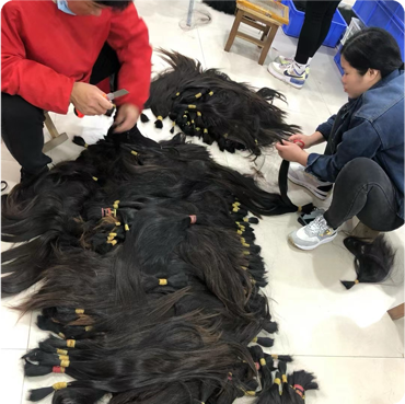 Factory workers hand-sorting a massive bulk inventory of raw single donor ponytails for 100% virgin remy cuticle human hair extensions B2B wholesale.