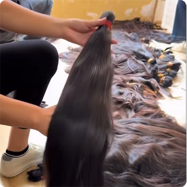Extreme close up of incredibly silky raw single donor ponytail 100% virgin remy cuticle human hair at factory sorting facility for B2B wholesale.